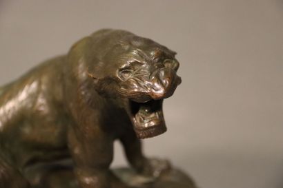 Thomas CARTIER (1879-1943) : Lion rugissant,...