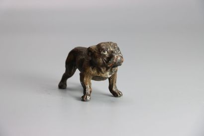VIENNE. Bulldog, bronze patiné et polychromé....