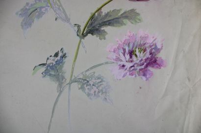 [DESSIN], Anonyme, Etude de fleurs pour motifs...