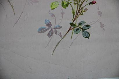 [DESSIN], Anonyme, Etudes de roses. XIXe...