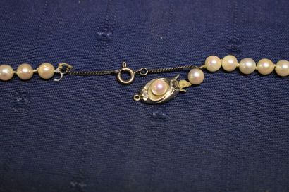 Collier de perles de culture avec fermoir...