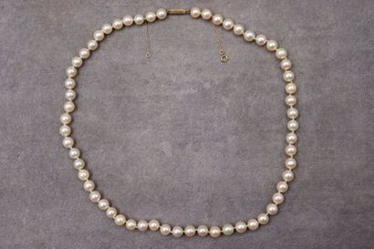 Collier de perles de culture choker, fermoir...