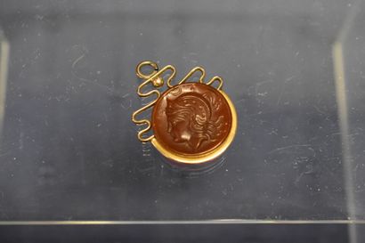 Pendentif or jaune et camée sur agathe.

Poids...