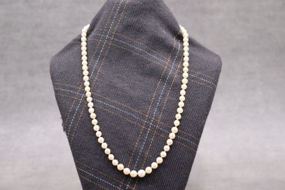Collier de perles de culture en chute. Longueur:...