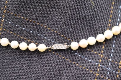 Collier de perles de culture en chute. Longueur:...
