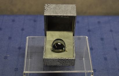 LALIQUE France. Modèle 