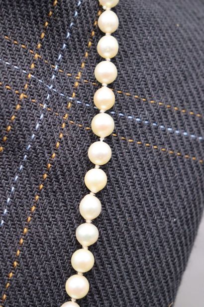 Collier de perles de culture en chute. Longueur:...