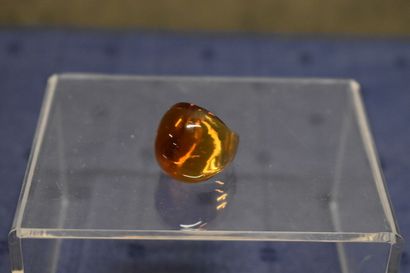 LALIQUE France. Modèle 