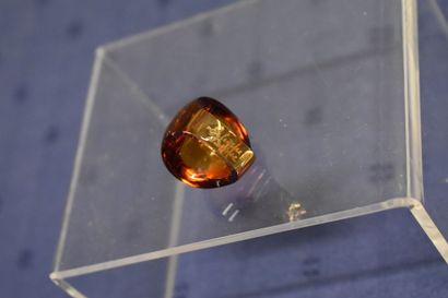 LALIQUE France. Modèle 