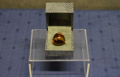 LALIQUE France. Modèle 
