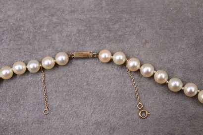 Collier de perles de culture choker, fermoir...