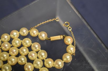 Collier de perles de culture choker, fermoir...