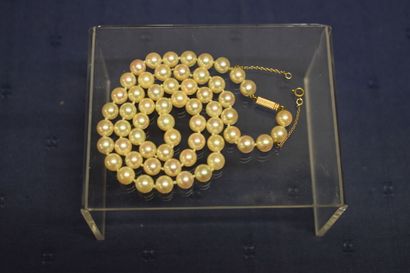 Collier de perles de culture choker, fermoir...