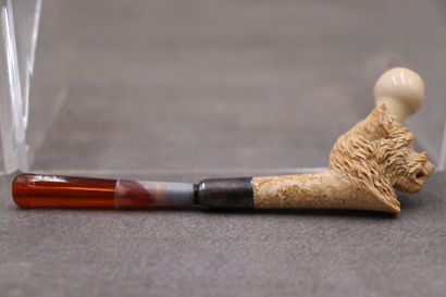 Réunion de d'une pipe et un fume cigarette...