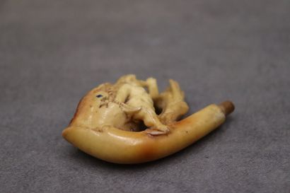 Réunion de d'une pipe et un foyer en écume...