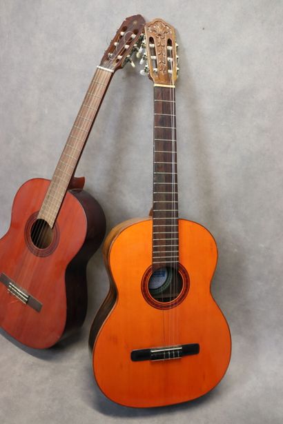 Réunion de deux guitares sèches (une di Giorgio,...