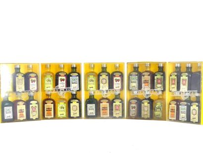 LOT 5 BOITE DE MIGNONETTE COINTREAU