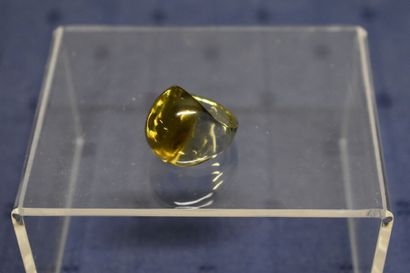 LALIQUE France. Modèle 