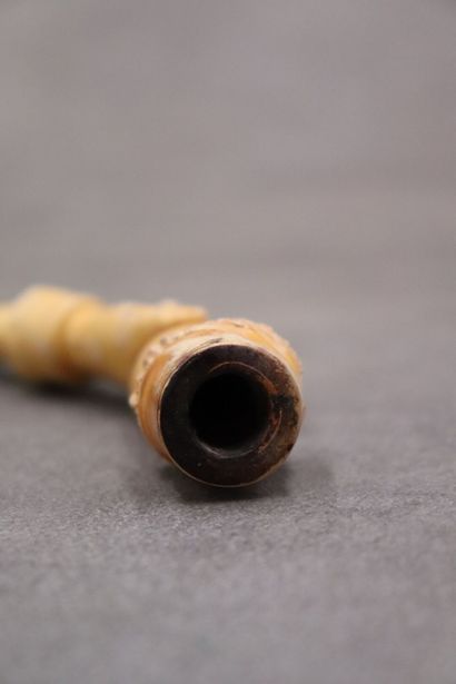 Réunion de d'une pipe et un foyer en écume...