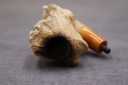 Réunion de d'une pipe et un foyer en écume...
