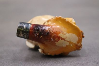 Réunion de d'une pipe et un foyer en écume...