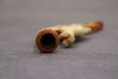 Réunion de deux pipes en écume de mer figurant...