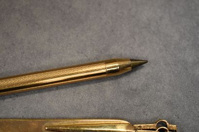 Gold starry. Réunion d'un stylo bille et...