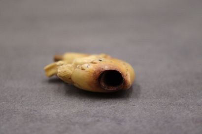 Réunion de d'une pipe et un foyer en écume...