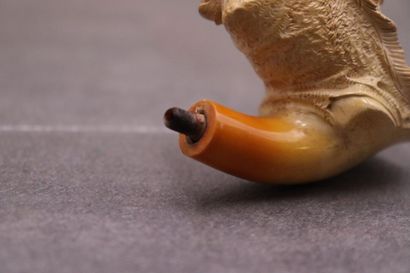 Réunion de d'une pipe et un foyer en écume...