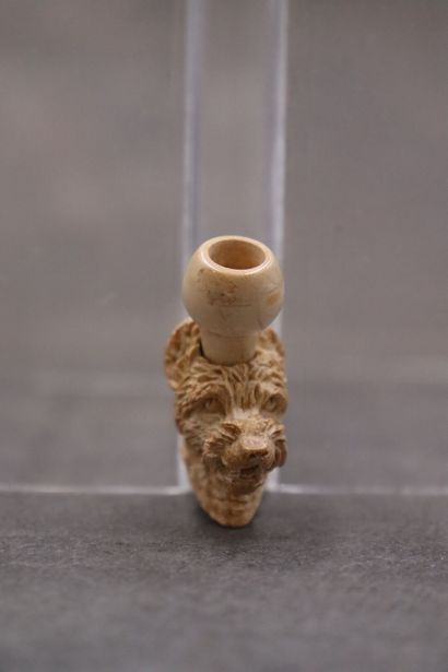 Réunion de d'une pipe et un fume cigarette...