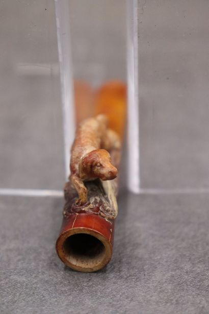 Réunion de d'une pipe et un fume cigarette...