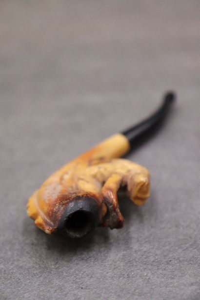 Réunion de d'une pipe et un foyer en écume...