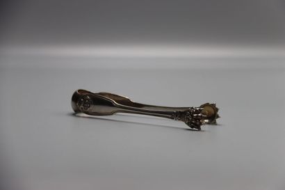 SILVER. Silver sugar tongs. Minerva. Lion...