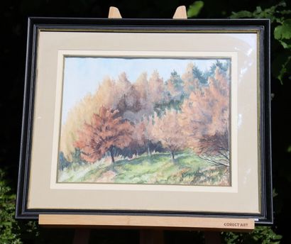 CARLIER. Paysage, aquarelle sur papier, Signé...