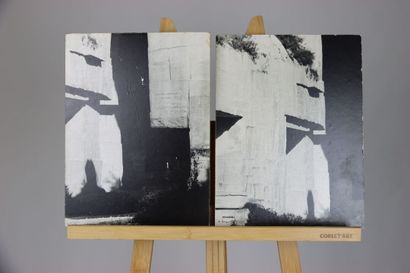 ERWIN HEYNES (Né en 1941). 13 Photographies...