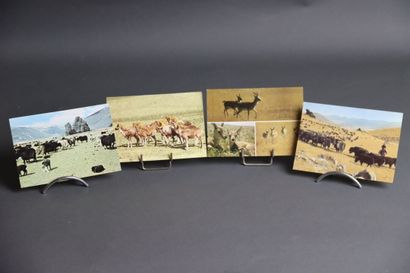 1100 cartes postales sur le thème de l'Asie
Ensemble...
