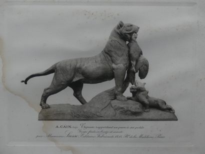 A. CAIN, Gravure
A.CAIN, Tigresse rapportant...
