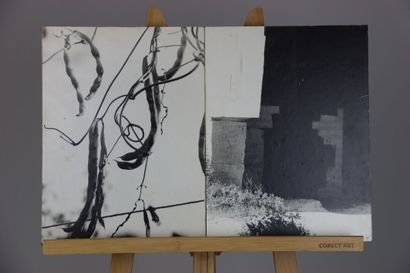 ERWIN HEYNES (Né en 1941). 13 Photographies...