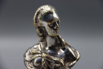 Buste de Marie-Antoinette en bronze argenté...