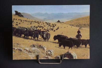 1100 cartes postales sur le thème de l'Asie
Ensemble...