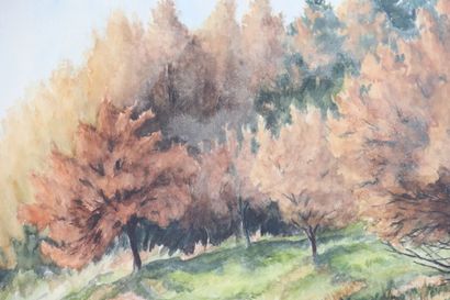CARLIER. Paysage, aquarelle sur papier, Signé...