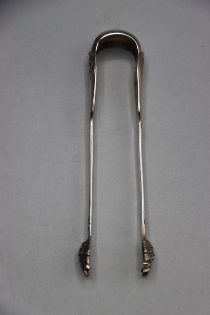 SILVER. Silver sugar tongs. Minerva. Lion...