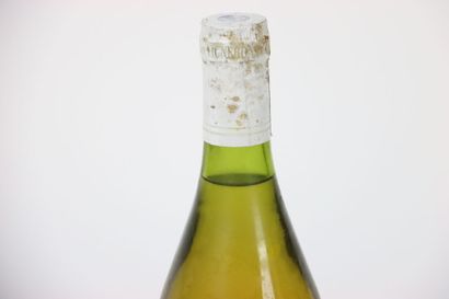 1 CHARDONNAY
1 bottle of CHARDONNAY. 