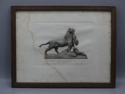 A. CAIN, Gravure
A.CAIN, Tigresse rapportant...