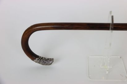Set of 4 canes, some silver. Beginning of...