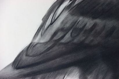Georges Lucien GUYOT (1885-1973). Eagle....