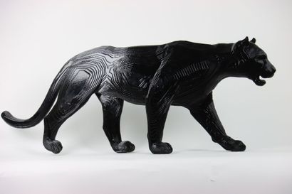 ECLAS. Panther. Assembly of steel blades....