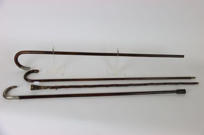 Set of 4 canes, some silver. Beginning of...