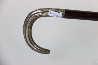 Set of 4 canes, some silver. Beginning of...