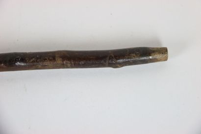 Set of 4 canes, some silver. Beginning of...